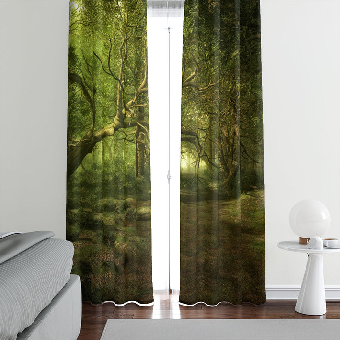 Forest Walk Window Curtains